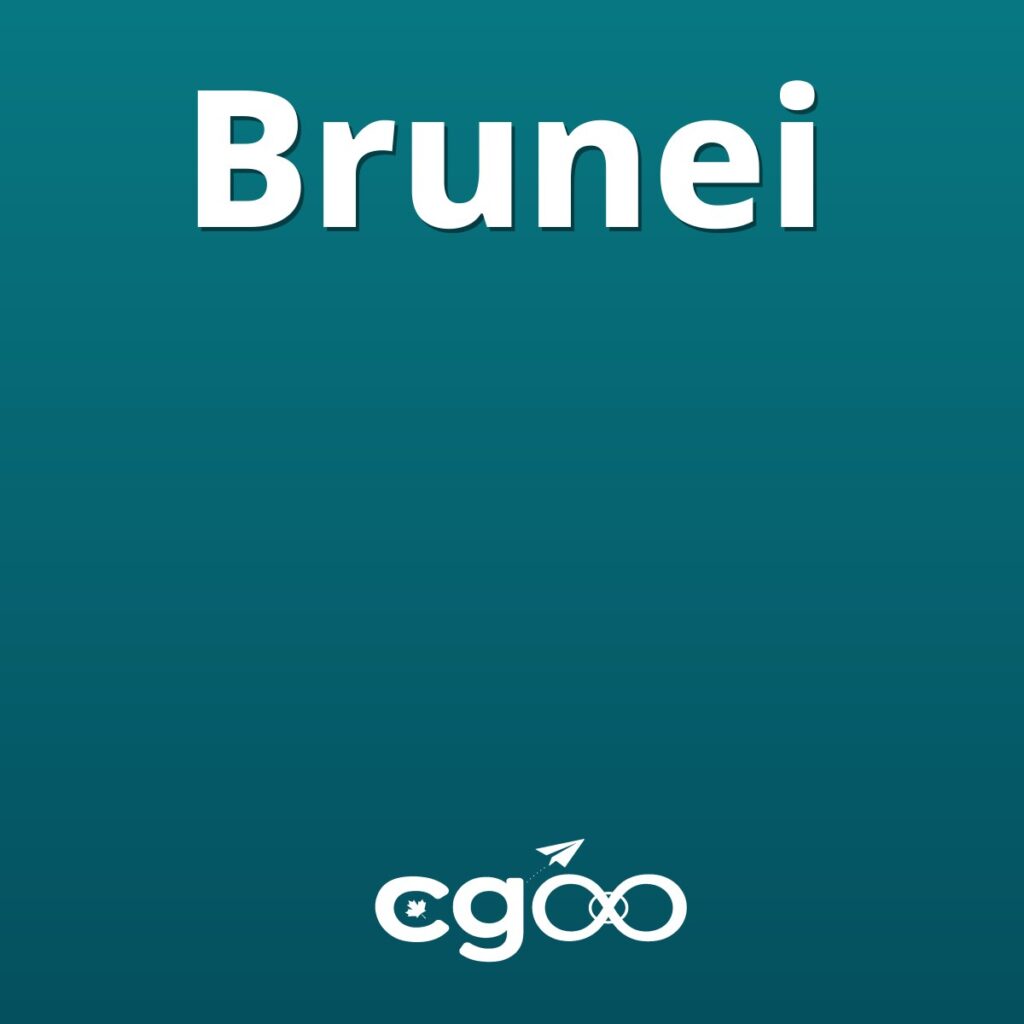 10GB eSIM Data for 15 Days for Brunei, V2