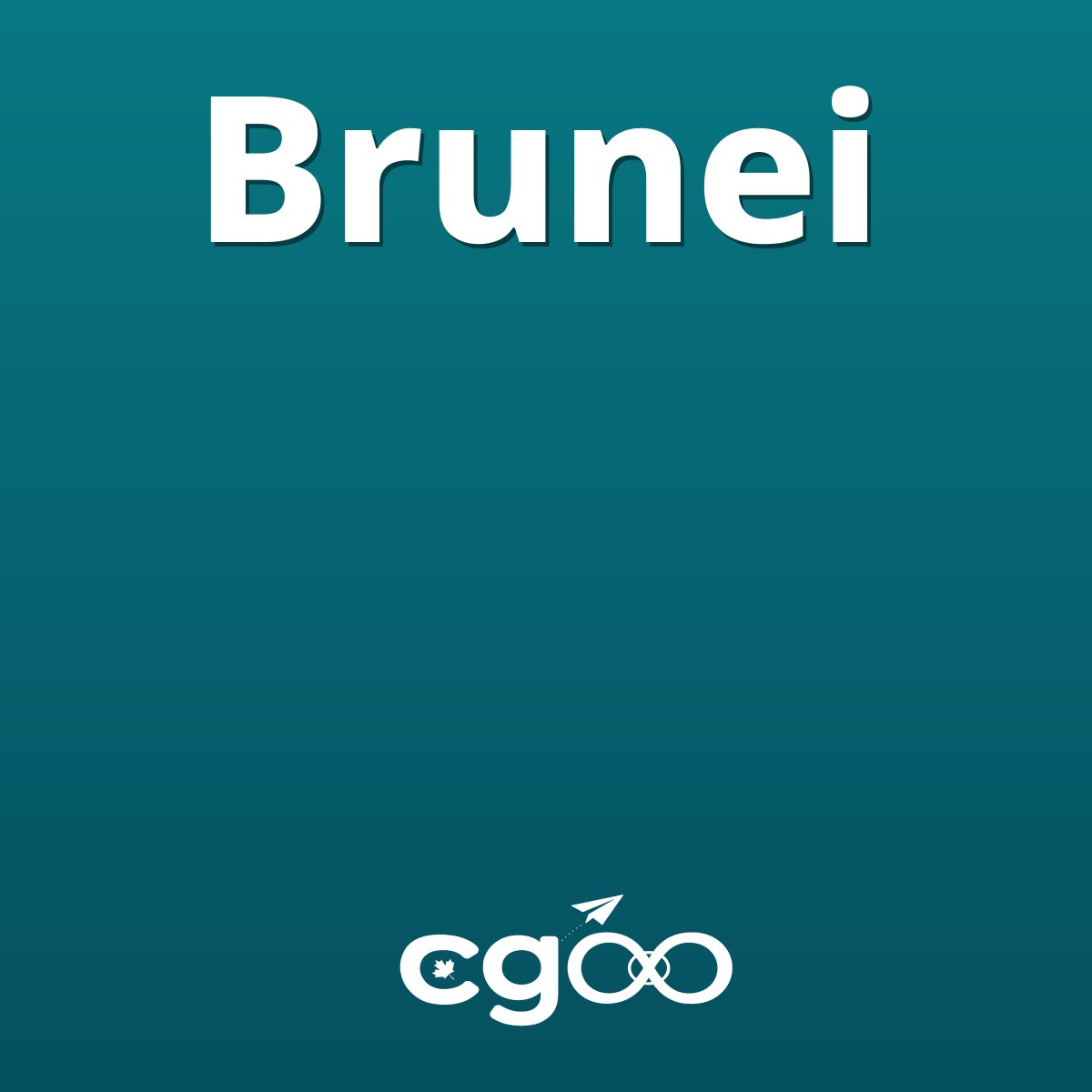 1GB eSIM Data for 3 Days for Brunei, V2