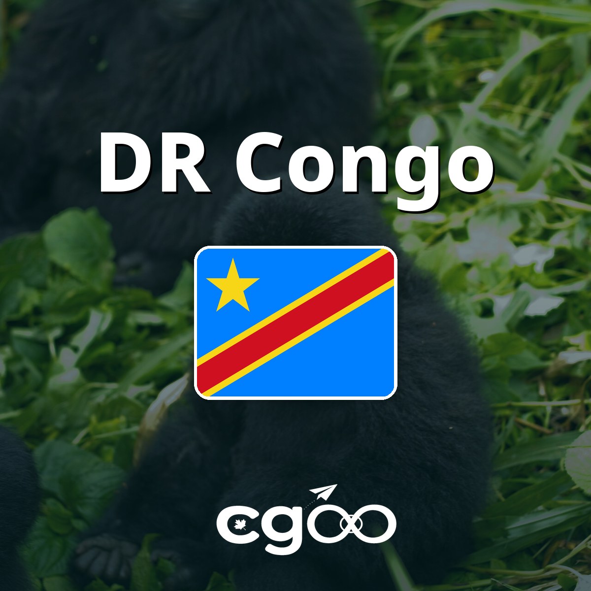 1GB eSIM Data for 3 Days for DR Congo, V2