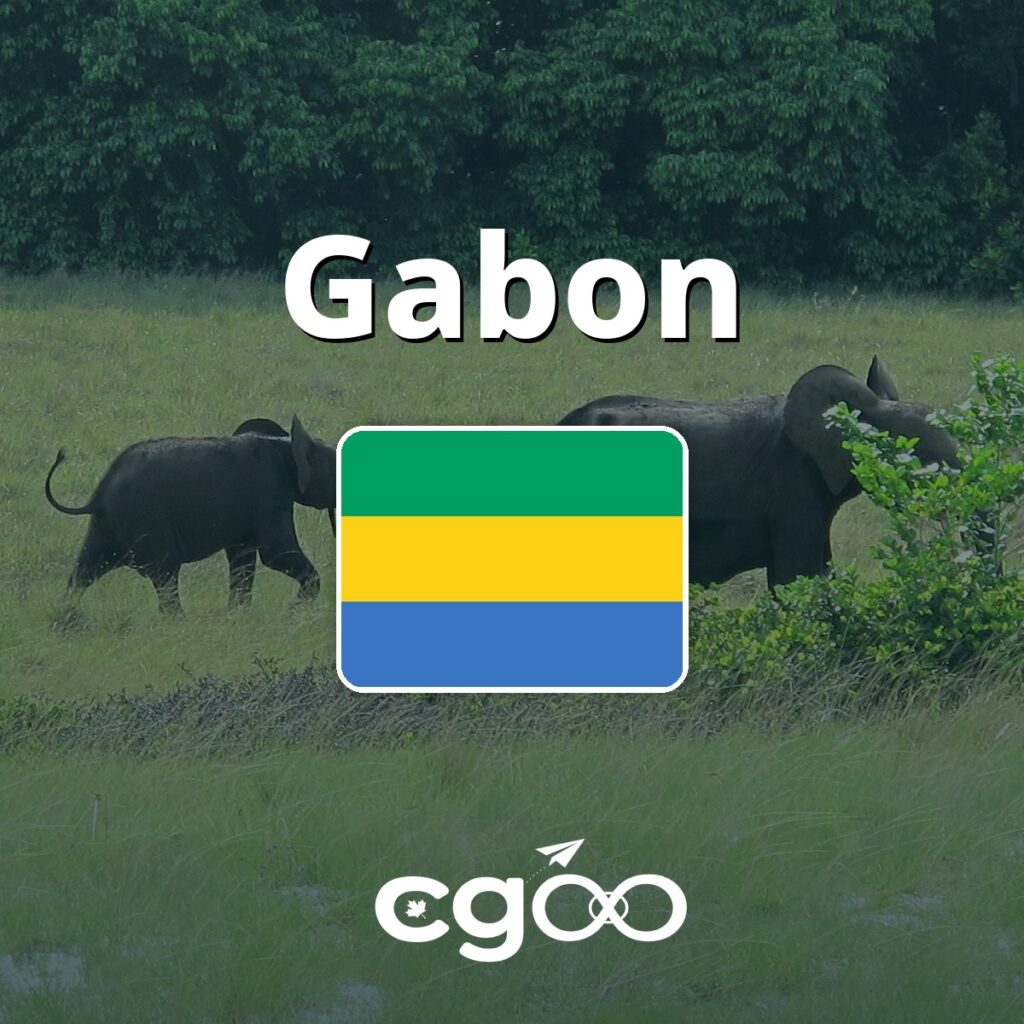 10GB eSIM Data for 15 Days for Gabon, V2